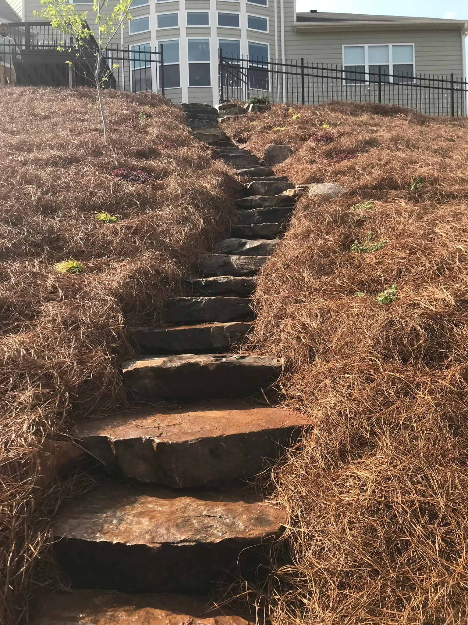 C & J Landscape project